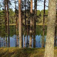 Delusions.End.Breaking.Free.of.the.Matrix.2021.1080p.WEBRip.1400MB.DD2.0.x264-GalaxyRG