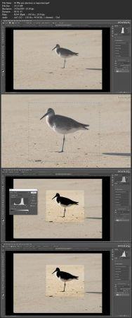 [ DevCourseWeb ] Mastering Selections in Adobe Photoshop CC for 2021 and Beyond