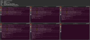 Udemy - Odoo Tips & Tricks to high efficency - save time