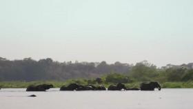 Earths Great Rivers S01E02 Nile 720p HDTV x264-QPEL [eztv]