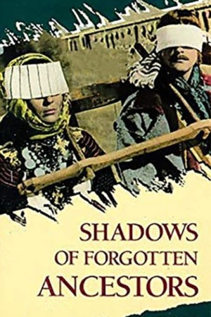 Shadows.of.Forgotten.Ancestors.1964.UKRAINIAN.720p.BluRay.800MB.x264-GalaxyRG