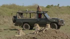 Big Cat Tales S01E01 Rebirth in the Mara WEBRip x264-CAFFEiNE [eztv]