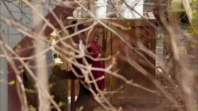 Amish Mafia S02E04 Paradise INTERNAL WEBRip x264-GIMINI [eztv]