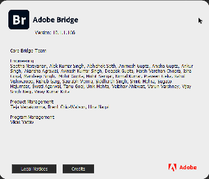 Adobe Bridge 2020 v10.1.1.166 (x64) Pre-Cracked {CracksHash}