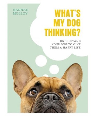 [ FreeCourseWeb ] What's My Dog Thinking - Understand Your Dog to Give Them a Happy Life (DK)