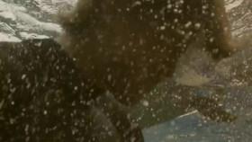 When Sharks Attack S06E06 Cape Terror WEB h264-CAFFEiNE [eztv]