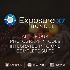 Exposure X7 Bundle 7.1.3.95 (x64) + crack (DeGun)
