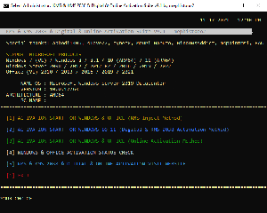 KMS/2038 & Digital & Online Activation Suite v9.5 [EN/TR]