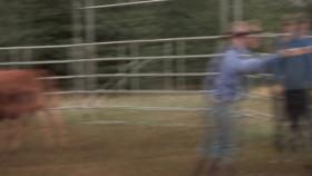 Alaska The Last Frontier S04E09 Secrets of the Range Rider WEB H264-APRiCiTY [eztv]