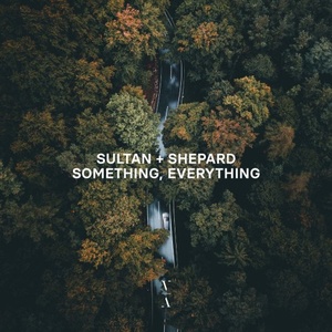 Sultan + Shepard - Something, Everything (2021) Mp3 320kbps [PMEDIA] ⭐️