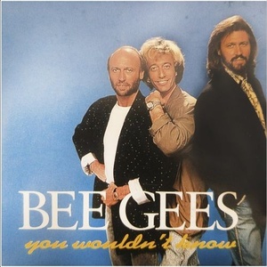 Bee Gees - Bee Gees (You Wouldn't Know) (2022) Mp3 320kbps [PMEDIA] ⭐️