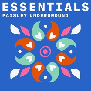 VA - Paisley Underground Essentials (2021) Mp3 320kbps [PMEDIA] ⭐️