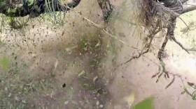 Treasure Quest Snake Island S03E06 WEBRip x264-TBS [eztv]