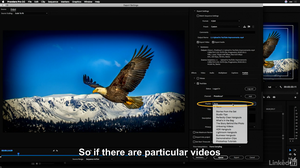 Lynda - Premiere Pro CC 2018 New Features