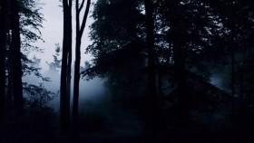 Perfect Storms Disasters That Changed The World S01E04 The Lost Legions WEBRip x264-UNDERBELLY [eztv]