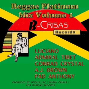 VA Reggae Platinum Mix Vol 1 2018 MP3 320kbps