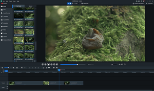 ACDSee Luxea Video Editor v6.1.1.2018 (Content Packs) (x64) + Fix