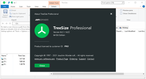 TreeSize Professional v8.2.1.1622 (x64) Multilingual + Portable