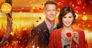 Good Witch Curse From A Rose 2019 HDTV x264-TTL
