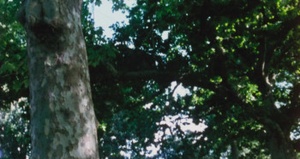 Death Warmed Up (1984) [BluRay] [1080p] [YTS] [YIFY]