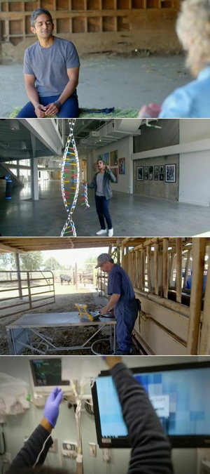 NOVA.S47E11.Gene.Editing.Reality.Check.480p.x264-ZMNT