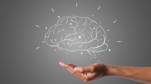 [ DevCourseWeb ] Udemy - Neuroplasticity - How To Rewire Your Brain 2021
