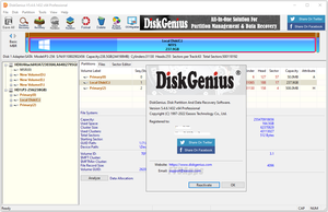 DiskGenius Professional v5.4.6.1432 (x64) Multilingual Portable