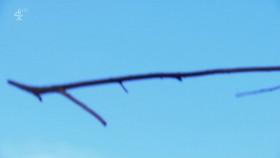 Treasure Island With Bear Grylls S01E02 720p HDTV x264-LiNKLE [eztv]