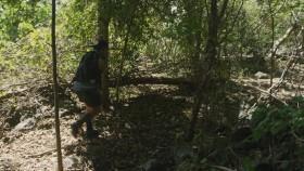 Big Cat Weekend S01E02 Jaguar Beach Battle 720p WEB x264-CAFFEiNE [eztv]