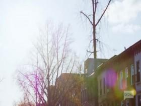 Backyard Envy S01E03 480p x264-mSD [eztv]