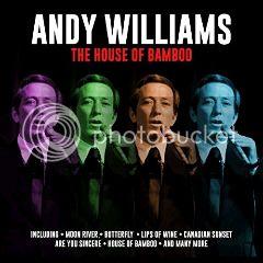 Andy Williams - Andy (2018) (320) [DJ]