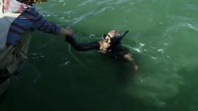 Bering Sea Gold S12E04 Shift Happens DISC WEB-DL AAC2 0 x264-BOOP [eztv]