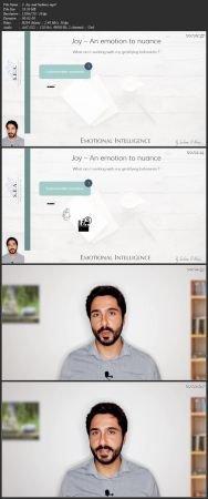 [ DevCourseWeb ] The mindful and pragmatic path to emotional intelligence