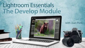 Lightroom Essentials: The Develop Module