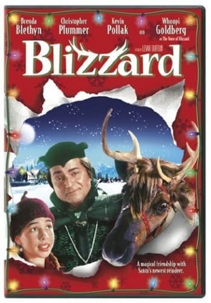 Blizzard (2003) 720p WEB X264 Solar