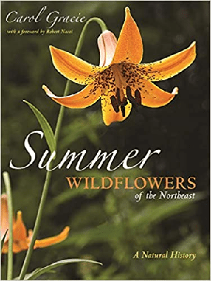 [ FreeCourseWeb ] Summer Wildflowers of the Northeast - A Natural History