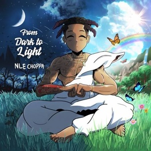 NLE Choppa - From Dark to Light (2020) Mp3 320kbps [PMEDIA] ⭐️