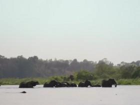 Earths Great Rivers S01E02 Nile 480p x264-mSD [eztv]