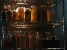 Sweetbitter S02E08 480p x264-mSD [eztv]