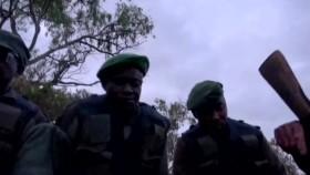 Monster Encounters S01E07 Elephants Run Amok WEB x264-CAFFEiNE [eztv]