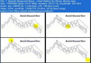 [ FreeCourseWeb ] Udemy - Penny Stock Queen - Beginner Guide to Chart Patterns