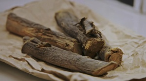 Hamiltons.Pharmacopeia.S03E04.Synthetic.Ibogaine-Natural.Tramadol.900p.WEB.x264-Dr3adLoX