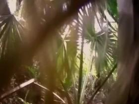 Guardians of the Glades S02E04 iNTERNAL 480p x264-mSD [eztv]