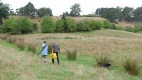 Gourmet Farmer S05E03 720p WEB h264-NODLABS [eztv]