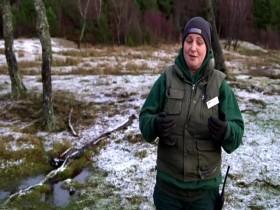 Baby Animals S02E04 Joined at the Hip 480p x264-mSD [eztv]