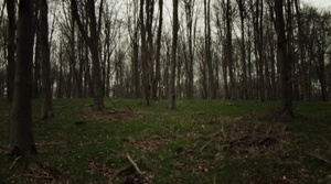 To Catch a Serial Killer with Trevor McDonald (2018) [WEBRip] [1080p] [YTS] [YIFY]