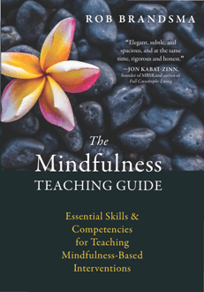 [ FreeCourseWeb ] The Mindfulness Teaching Guide - Essential Skills and Competencies for Teaching Mindfulness-Based Interventions