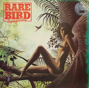 Rare Bird - 1976.[iDN_CreW]