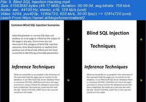 [ FreeCourseWeb ] Udemy - Complete SQL Injection Course- Beginner to Advanced!