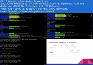 Udemy - Introduction to Git for GitLab projects